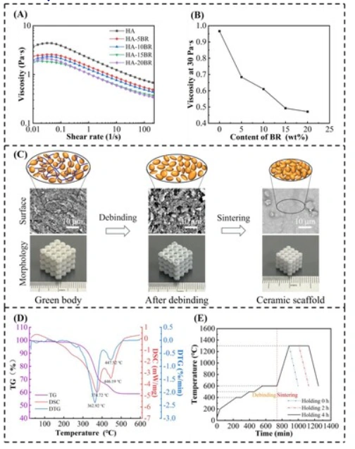Industry Dynamics丨Research on Ion Modification and Performance Optimization of DLP Photocured Ceramics 3D Printed HA Stent