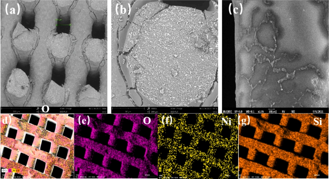 Industry Insights | Research on the Application of DIW 3D Printed Nickel Catalysts in CO₂ Methanation Reactions