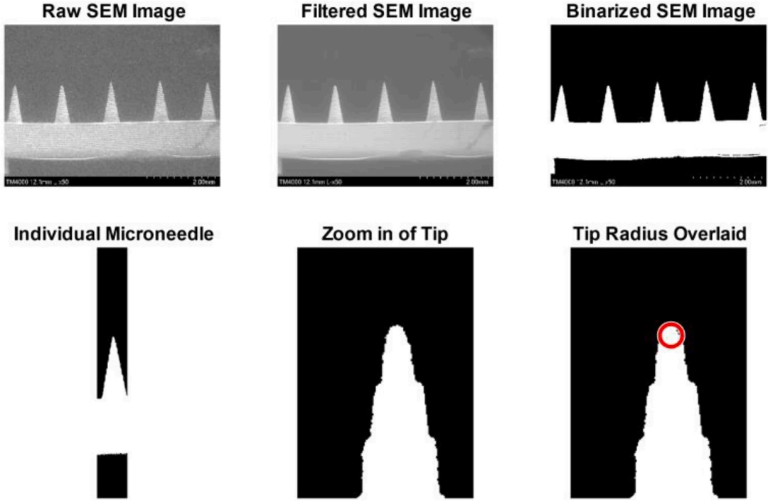 Industry Insights | Using DLP 3D Printing to Manufacture Low-Cost Conical Microneedles