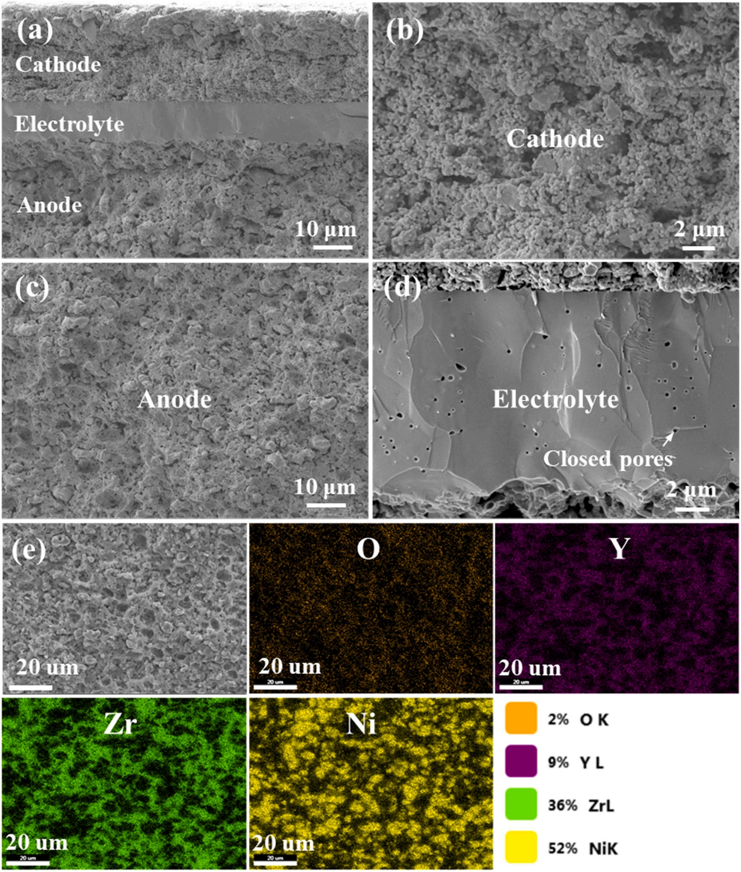 Industry New Knowledge | Light-cured DLP 3D printing NiO-YSZ anode material for solid oxide fuel cell performance research.