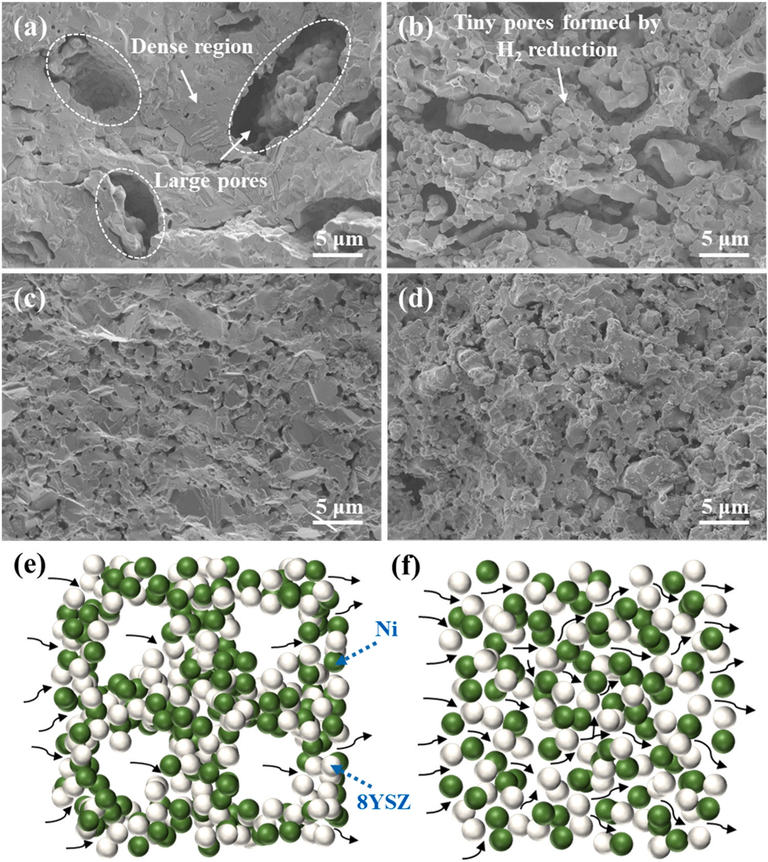 Industry New Knowledge | Light-cured DLP 3D printing NiO-YSZ anode material for solid oxide fuel cell performance research.