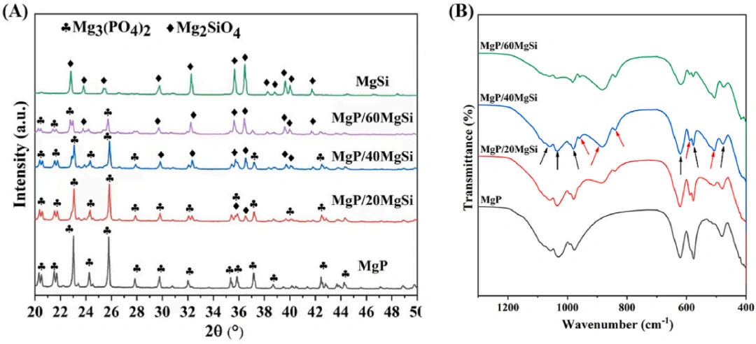 Industry New Knowledge | Magnesium silicate improves the mechanical strength and bone stimulation ability of 3D printed magnesium phosphate ceramic scaffolds