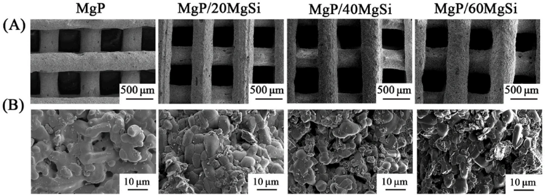 Industry New Knowledge | Magnesium silicate improves the mechanical strength and bone stimulation ability of 3D printed magnesium phosphate ceramic scaffolds