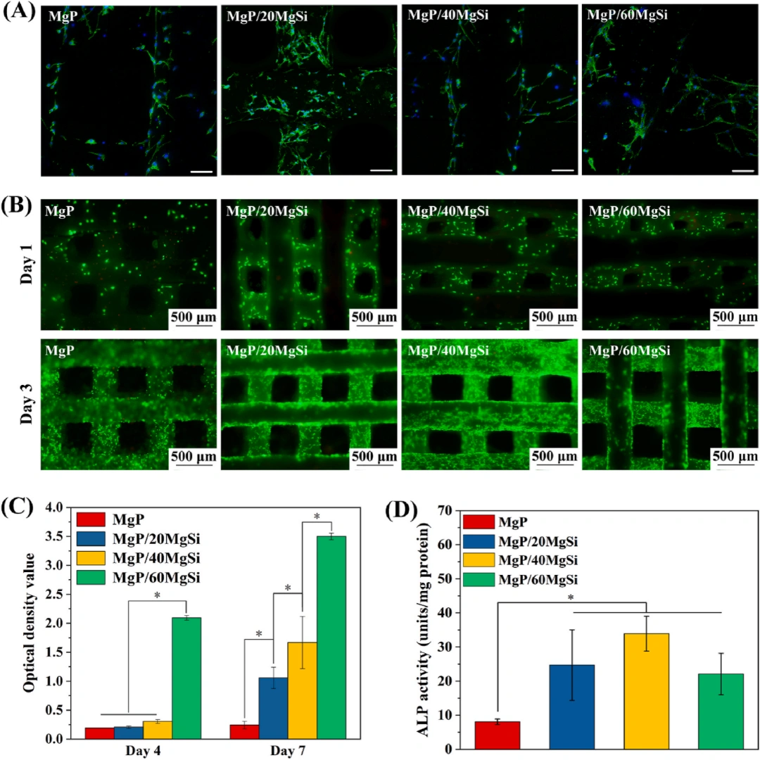 Industry New Knowledge | Magnesium silicate improves the mechanical strength and bone stimulation ability of 3D printed magnesium phosphate ceramic scaffolds