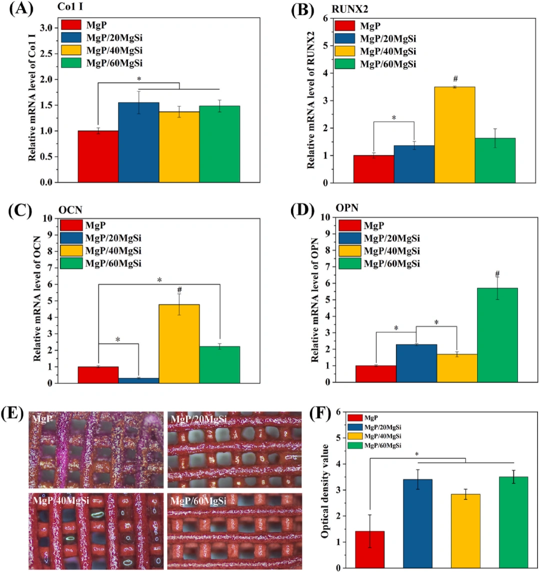 Industry New Knowledge | Magnesium silicate improves the mechanical strength and bone stimulation ability of 3D printed magnesium phosphate ceramic scaffolds