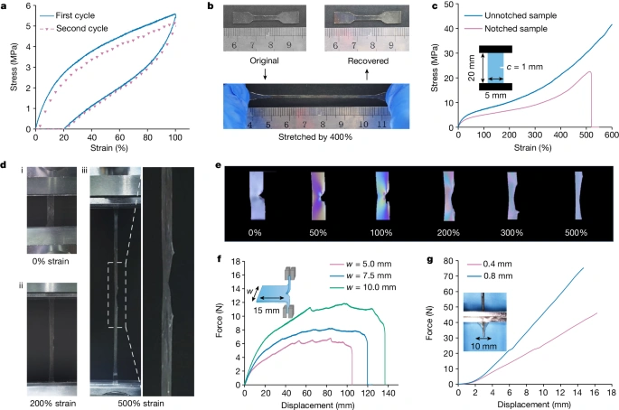 Industry New Knowledge | Zhejiang University "Nature": The Preparation of Ultra-Strong 3D Printing Elastic Materials!