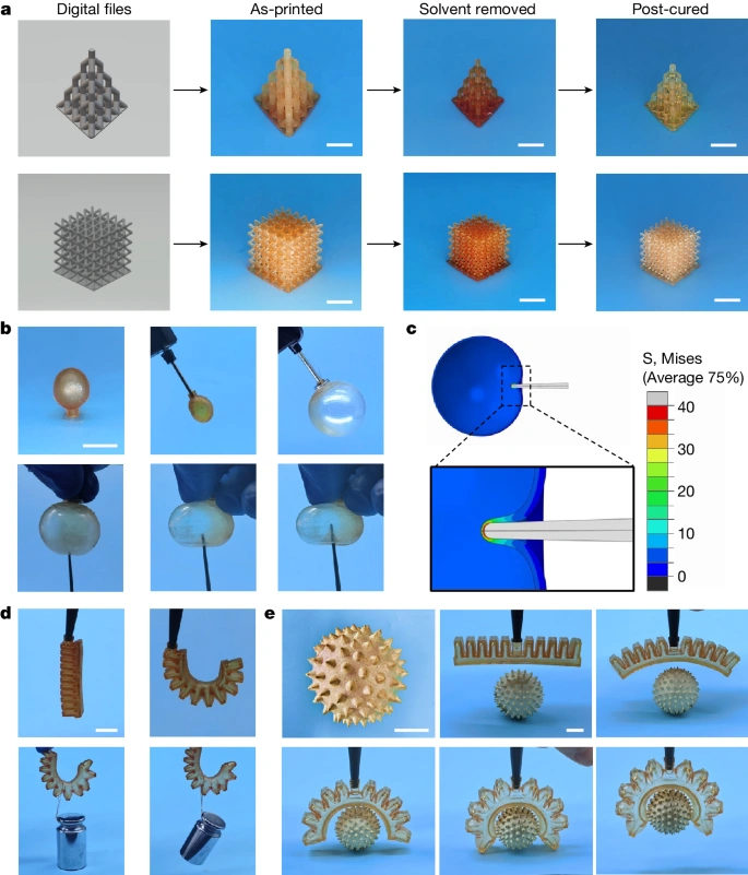 Industry New Knowledge | Zhejiang University "Nature": The Preparation of Ultra-Strong 3D Printing Elastic Materials!