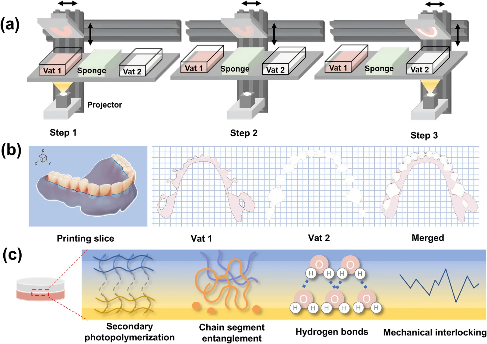 Sequential dual-vat multi-material DLP process, slicing and material assignment, and proposed interfacial bonding mechanisms
