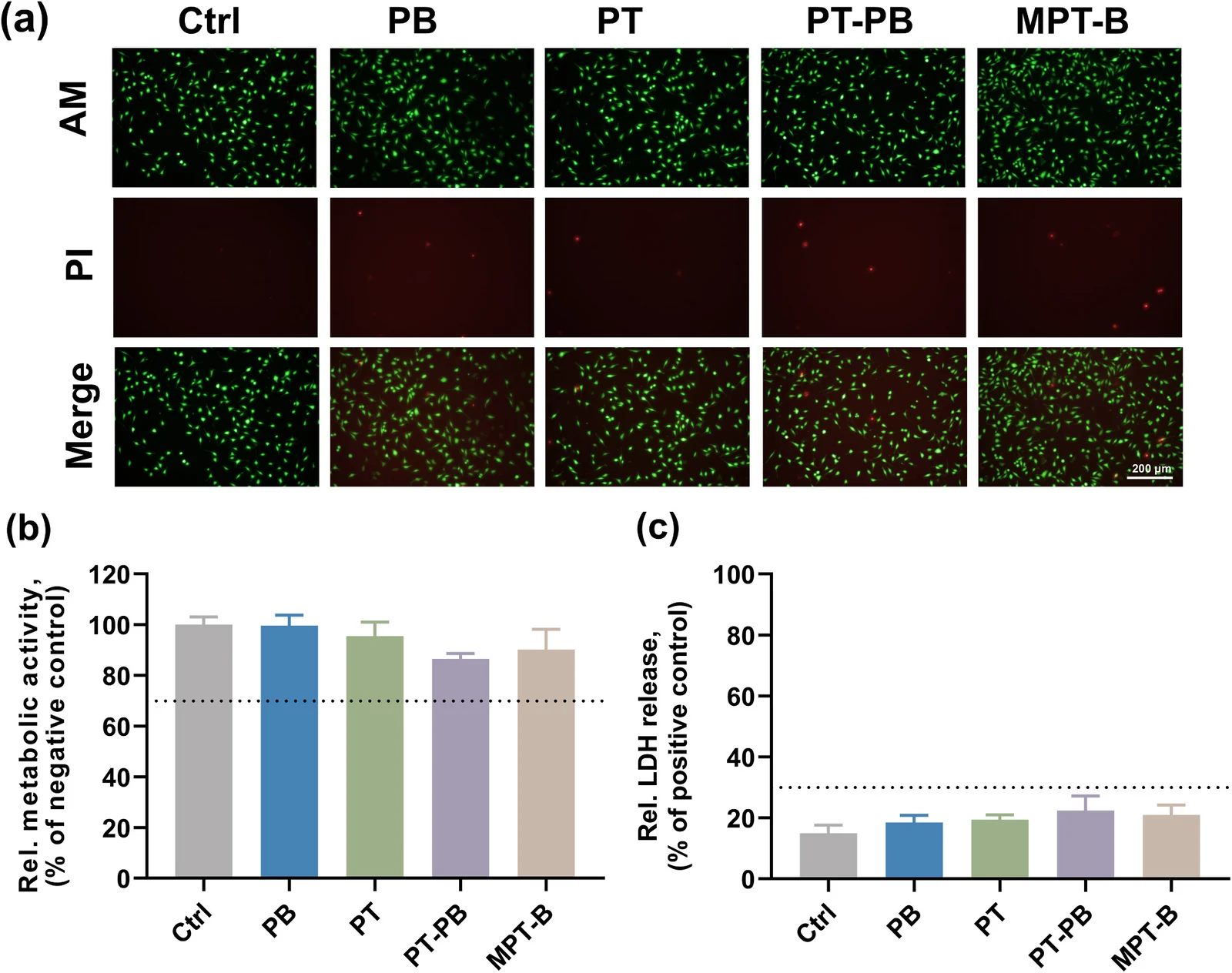 Cytotoxicity evaluation with L929 fibroblasts: live/dead staining, relative metabolic activity and relative LDH release