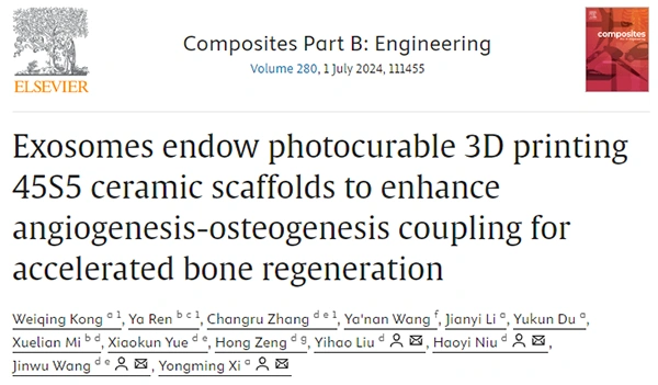 New in the industry. Exosomes give light-curable 3D printed 45S5 ceramic scaffolds to enhance angiogenesis-bone coupling to accelerate bone regeneration.