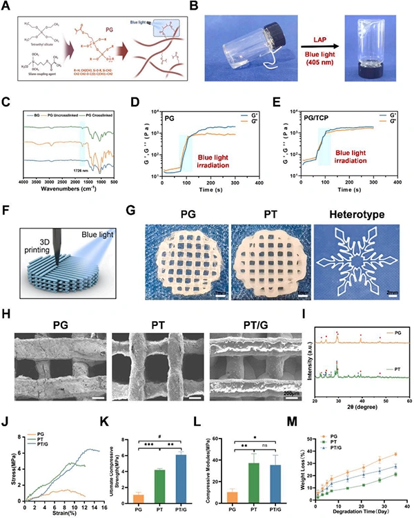 New in the industry. Exosomes give light-curable 3D printed 45S5 ceramic scaffolds to enhance angiogenesis-bone coupling to accelerate bone regeneration.