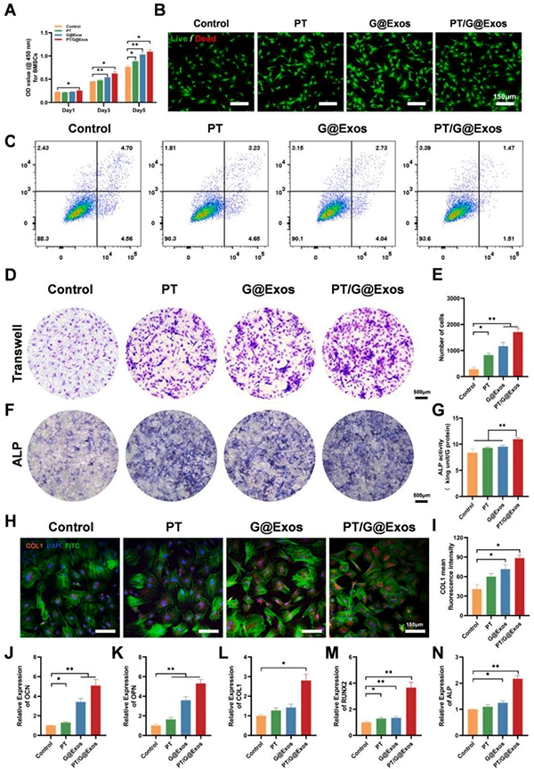 New in the industry. Exosomes give light-curable 3D printed 45S5 ceramic scaffolds to enhance angiogenesis-bone coupling to accelerate bone regeneration.