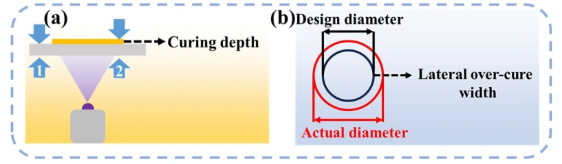 Optimization of Graphene-Modified Silicon-Based Ceramic Photopolymerization Curing Model and Ultra-High Precision Forming Strategy