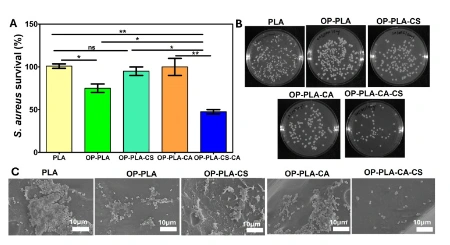 Osteogenic Citric Acid-Chitosan Coating on 3D-printed PLA Scaffolds for Infection Prevention