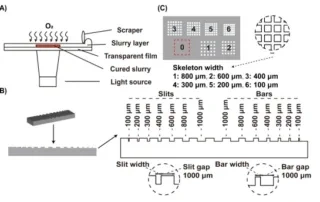 Oxygen Inhibition In DLP Ceramic 3D Printing: Turning A Printing “Defect” Into A Sub-500 Μm Precision Advantage