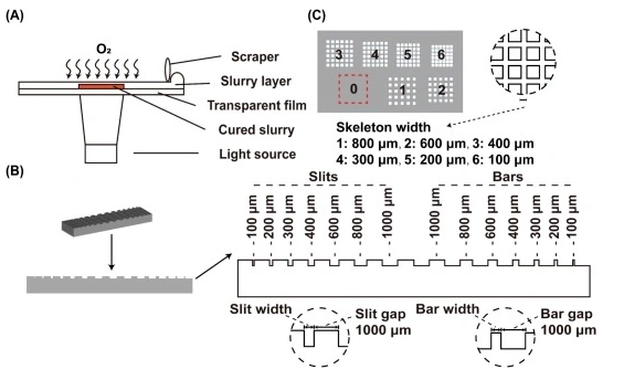 Oxygen Inhibition In DLP Ceramic 3D Printing: Turning A Printing “Defect” Into A Sub-500 Μm Precision Advantage