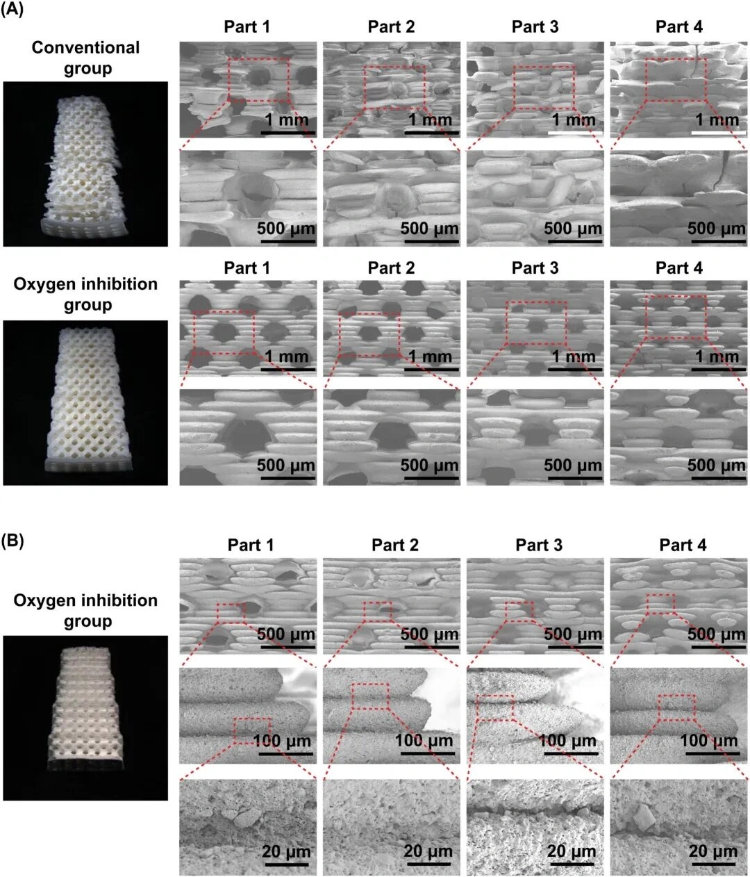 Oxygen Inhibition In DLP Ceramic 3D Printing: Turning A Printing “Defect” Into A Sub-500 Μm Precision Advantage