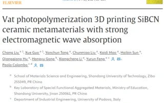 Reduced Photopolymerization Ceramic 3D Printing Of EM-Absorbing SiBCN Metamaterials