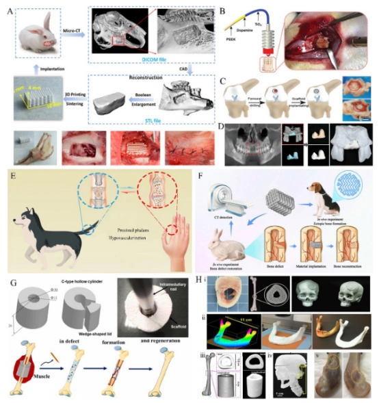 Structural Design of 3D-Printed Bioceramic Scaffolds