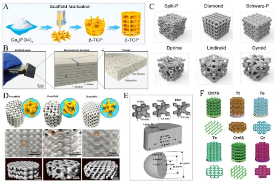 Structural Design of 3D-Printed Bioceramic Scaffolds