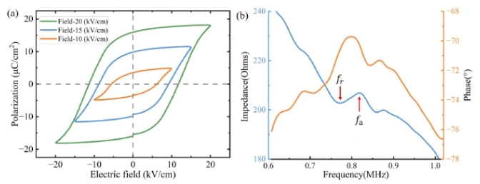 Why Are 3d Print Ceramic Piezoelectric Ceramics With Auxetic Structures Suitable For High-Performance Sensing Devices?