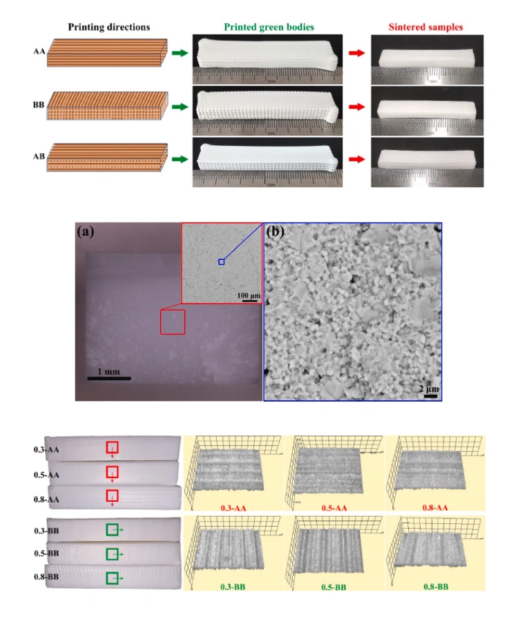 Zirconia Ceramics 3D Printing : The Effect of Filling Strategy on Density, Morphology, and Strength