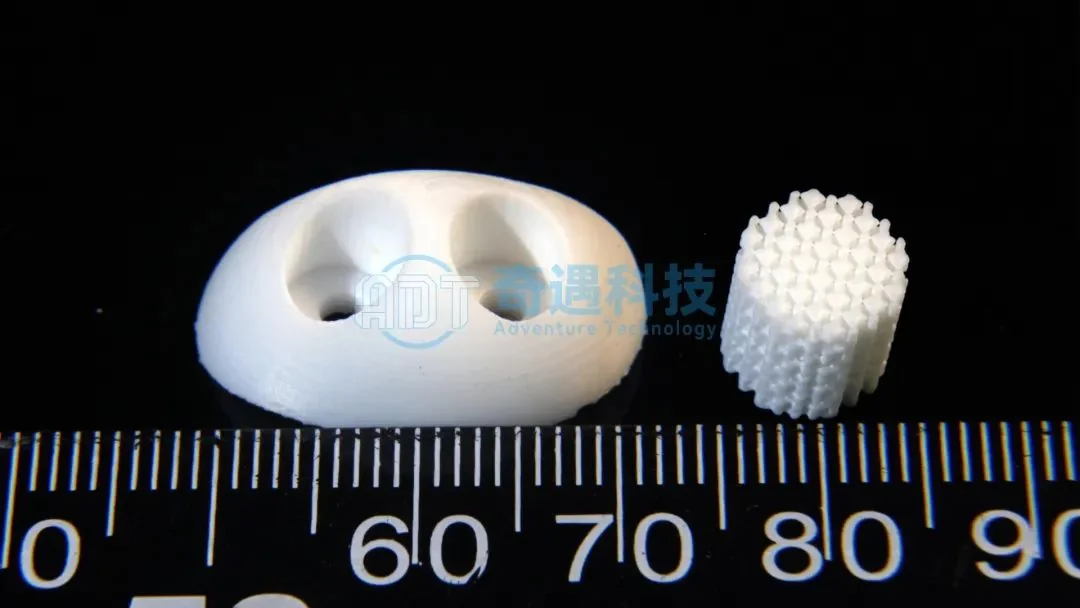 DLP 3D Printing Zirconia Sheep Left and Right Shoulder Structure