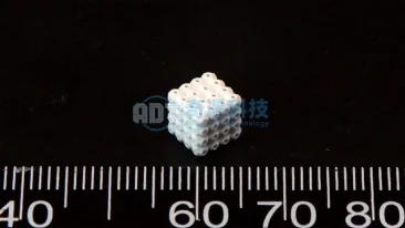 TCP-Porous Structure