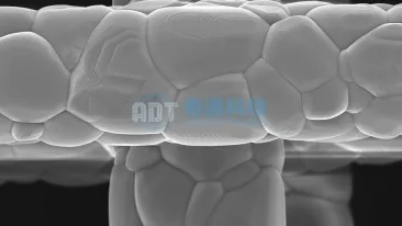 Photonic Crystal Printing