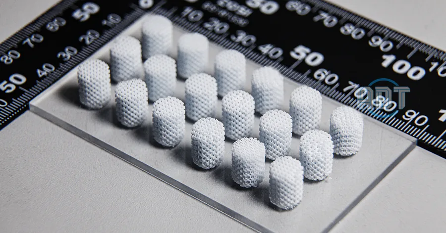 HAP bone graft scaffolds printed on a ceramic 3D printer