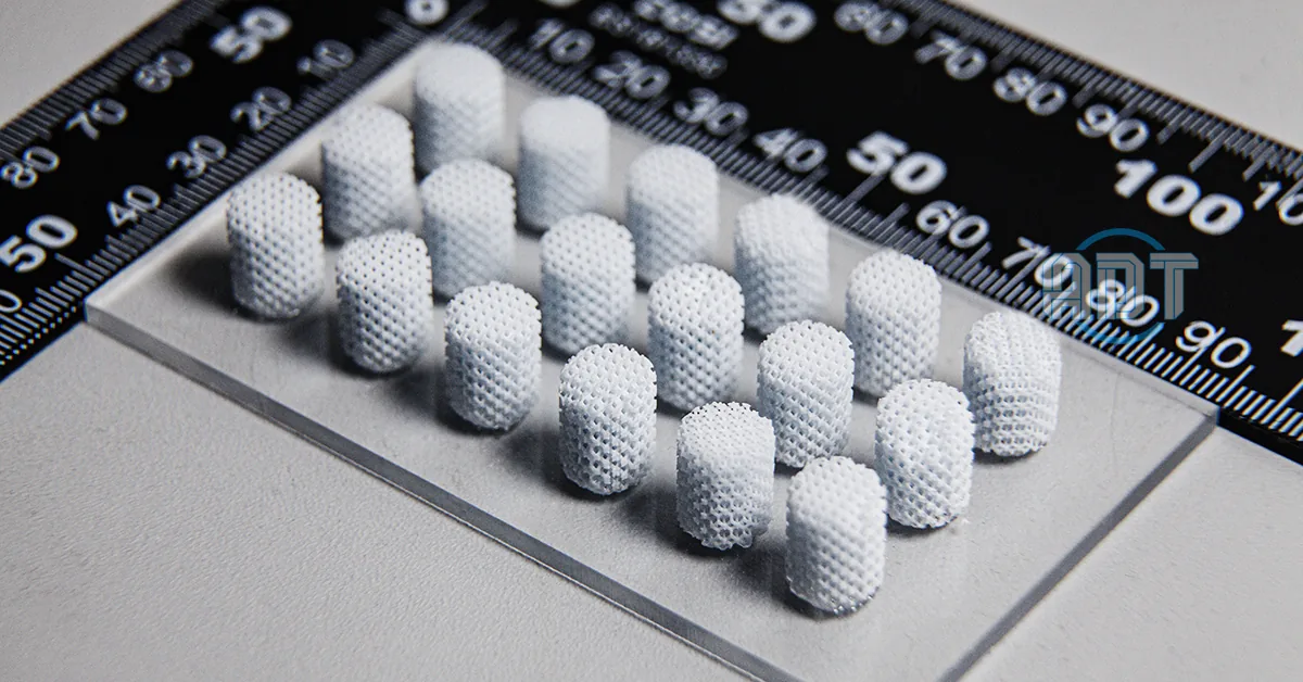 HAP bone graft scaffolds printed on a ceramic 3D printer