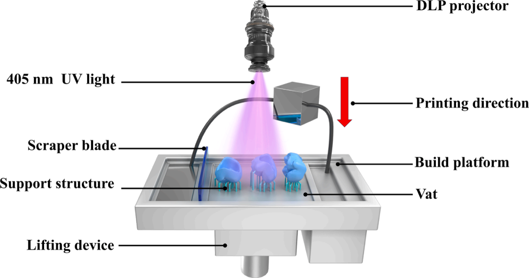 Zirconia Dental Crowns Ceramic 3D Printing