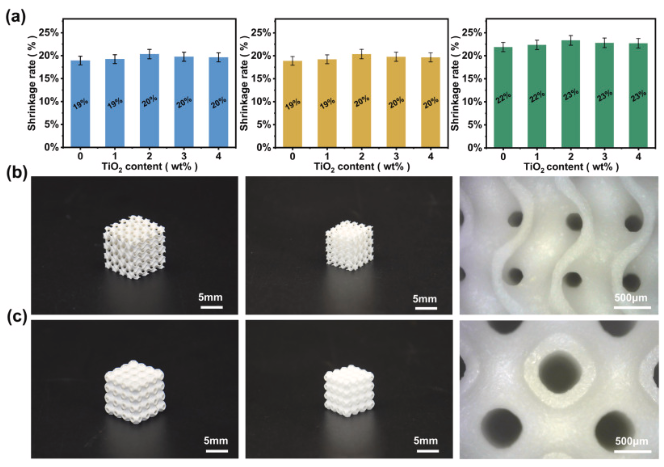 Ceramic 3D printed ZTA parts with complex geometry