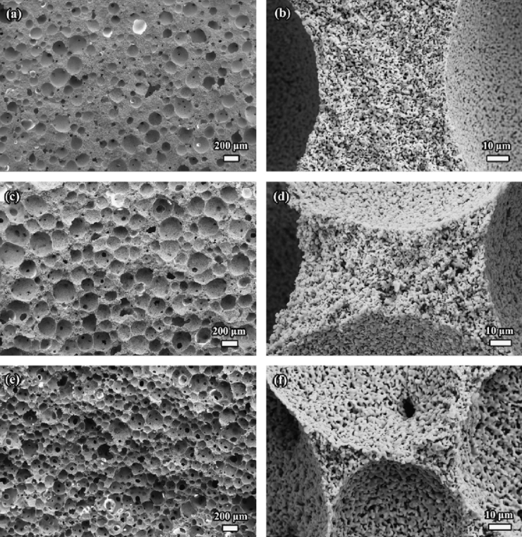 SEM images showing pore elimination and grain growth in optimized ceramic 3D printing sintering with effective sintering stress control for complex parts
