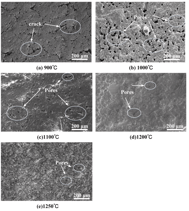 SEM micrographs showing surface microstructure of HA–BaTiO₃ scaffolds sintered at 900 °C, 1000 °C, 1100 °C, 1200 °C, and 1250 °C.