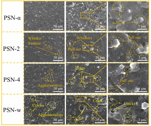Fracture surfaces showing whisker pull-out and crack deflection.