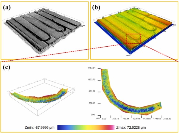 3D morphology, topology, and roughness of the embedded microchannels.